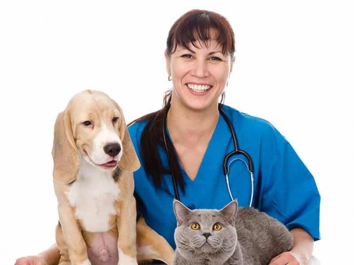 Smiling Veterinarian holding cat and dog