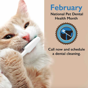 National Pet Dental Health Month Social Media Kit Instagram
