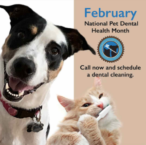 National Pet Dental Health Month Social Media Kit for Facebook
