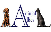 Animal Allies 