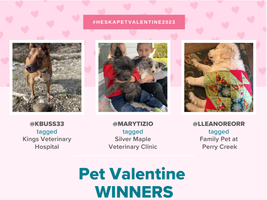Pet Valentine Winners